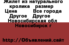 Жилет из натурального кролика,44размер › Цена ­ 500 - Все города Другое » Другое   . Новосибирская обл.,Новосибирск г.